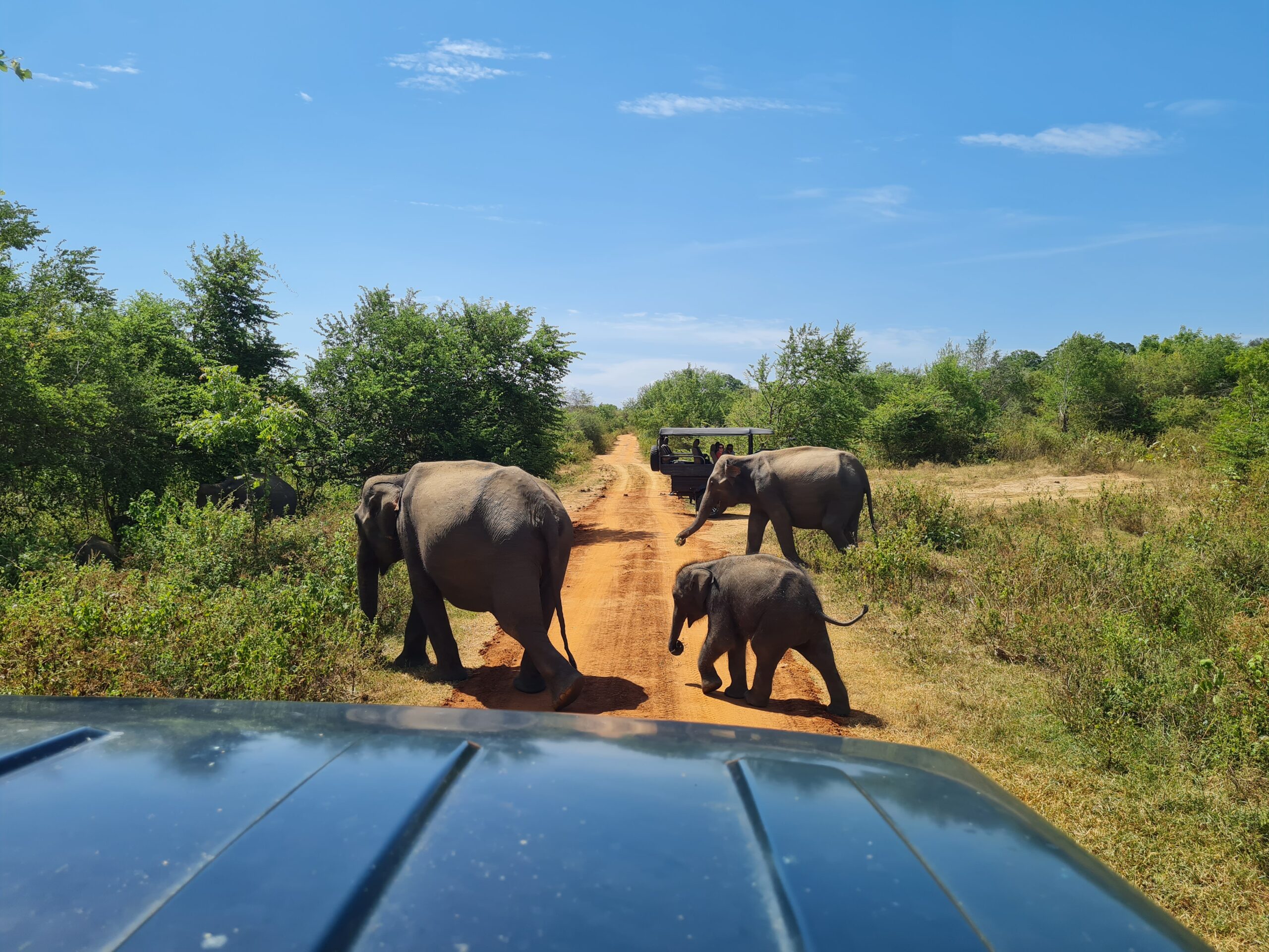10 Days Sri Lanka Highlights Tour