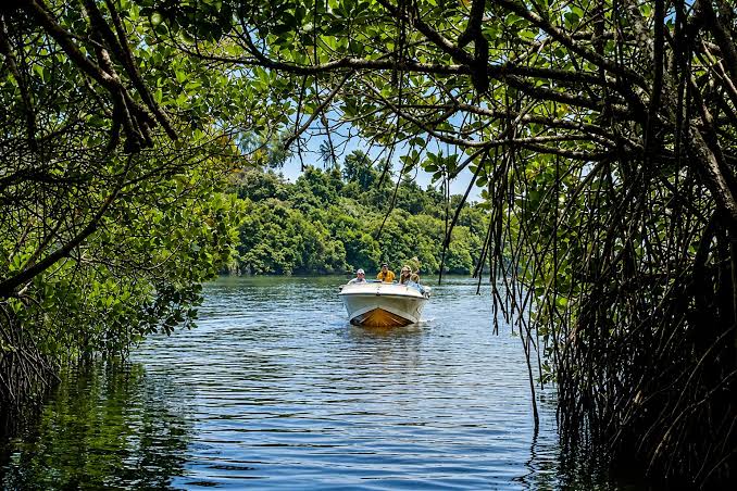 Colombo City & Bentota River Safari