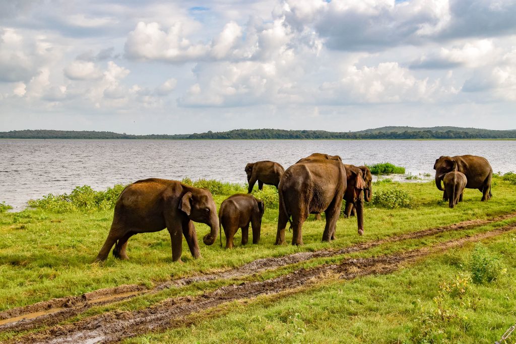 Sri Lanka Trip Cost 2026/2027: Complete Holiday Budget Guide
