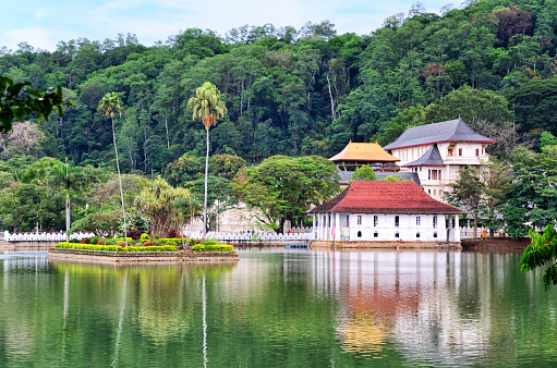 5-Day Sri Lanka Scenic & Wildlife Tour