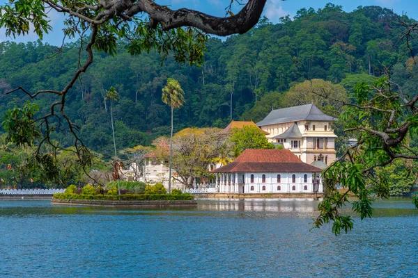 Sri Lanka Private Transport                             & Round Trip Packages