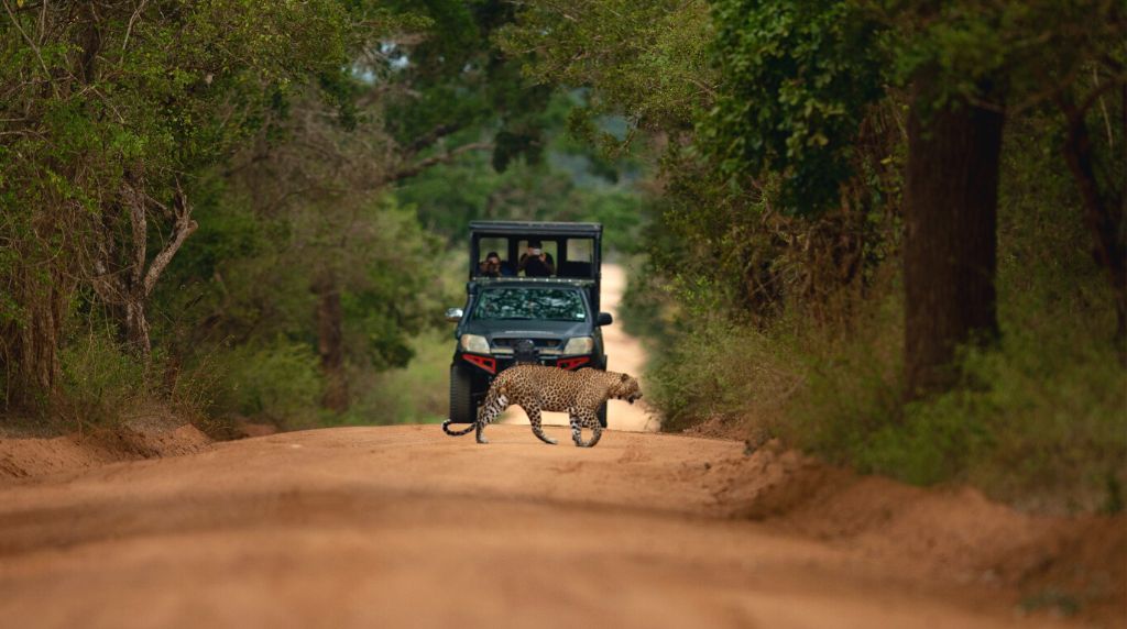 2-Day Galle, Yala & Udawalawe Tour